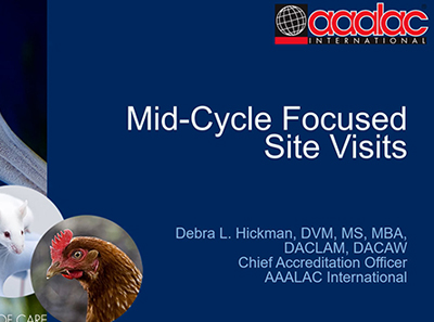 Mid-Cycle Site Visits