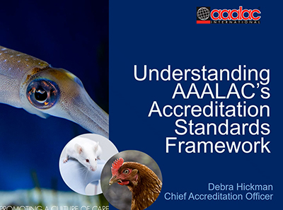 Understanding AAALAC Standards