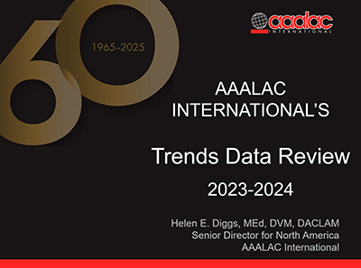Trends 2024