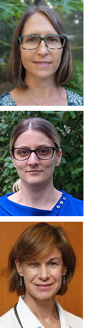 Nunamaker, Hull, Reynolds