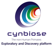 Cynbiose